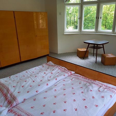 Vila Kotlarska ジェチーン エクステリア 写真